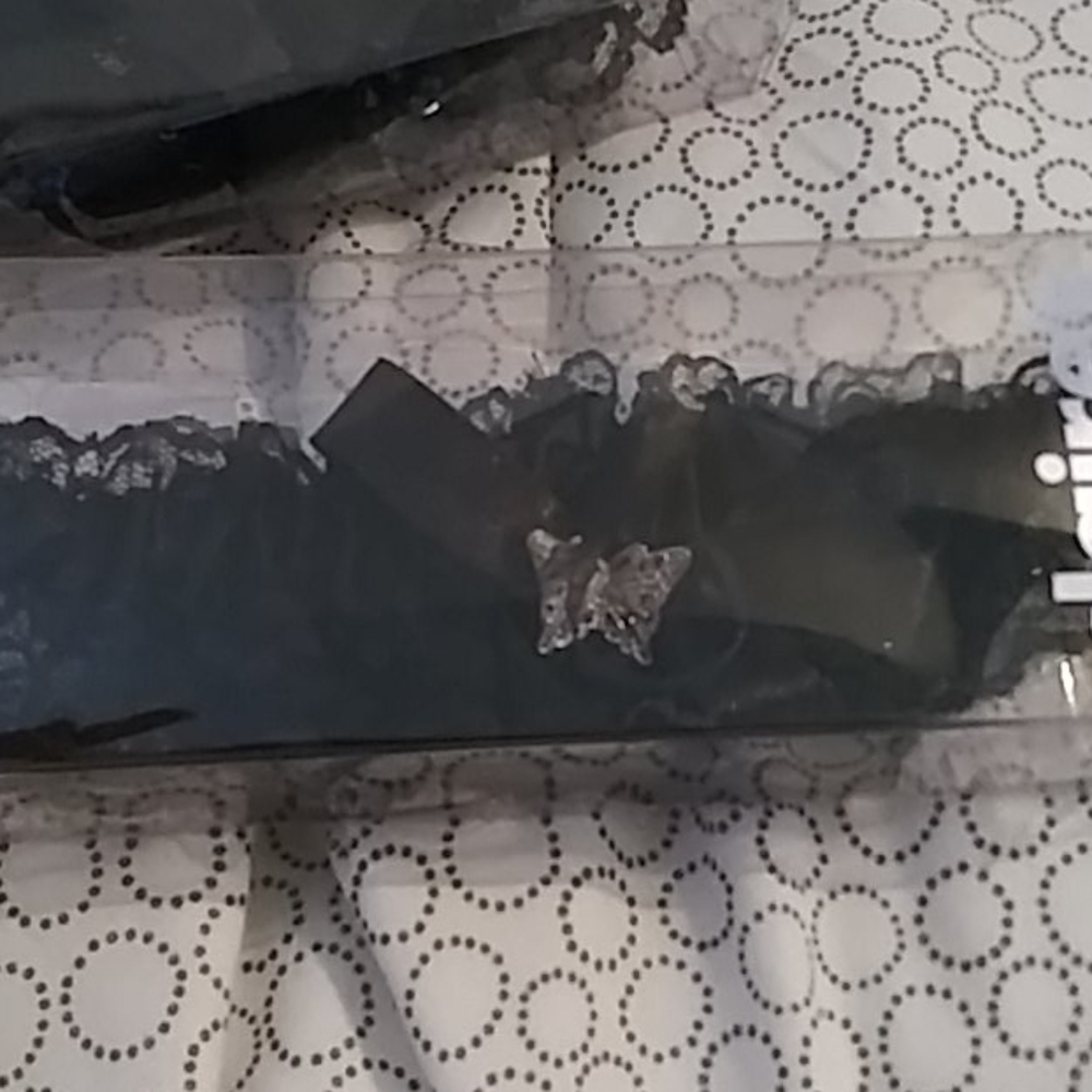 Garter belt